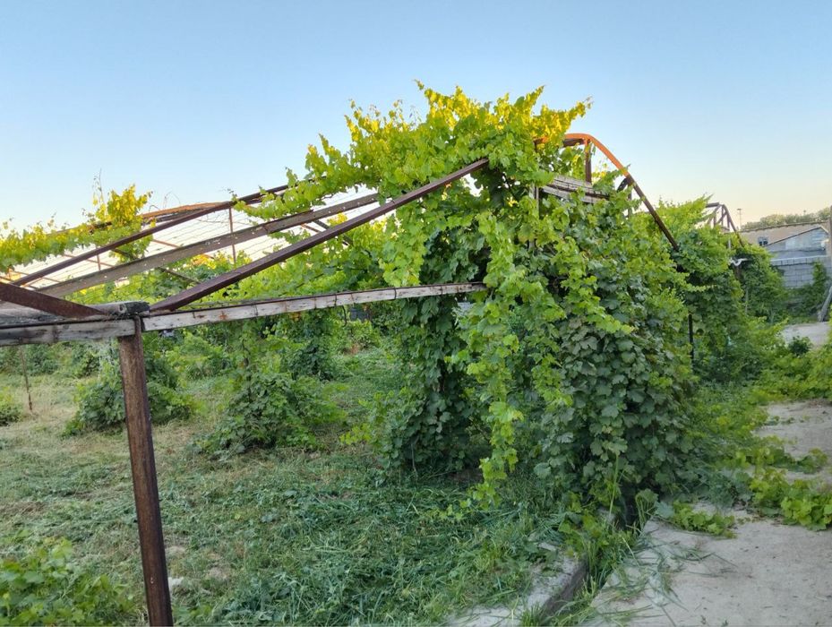 Uy xonadon sotiladi nazarbek obod mahallada