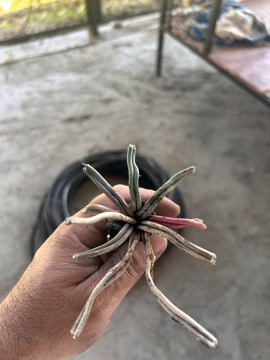 Силовой кабель