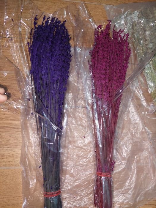 Сухоцветы для декора