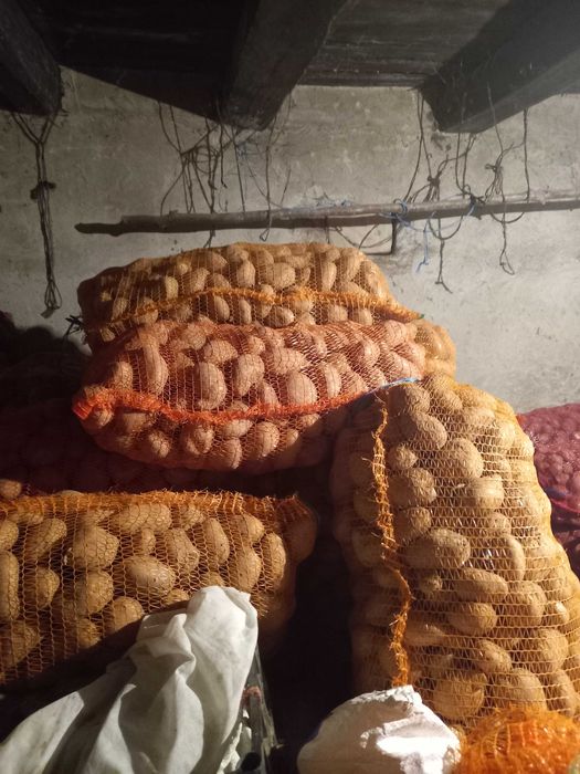 Catofi consum sorst alb si rosu