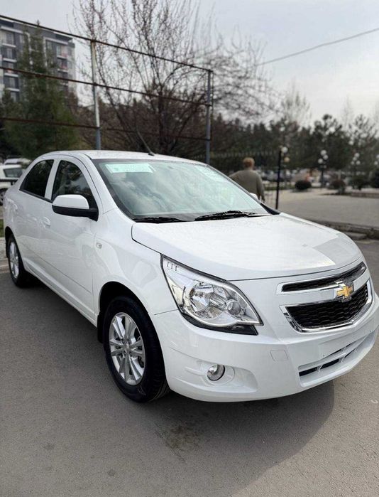 Other Cobalt 2026 — 2