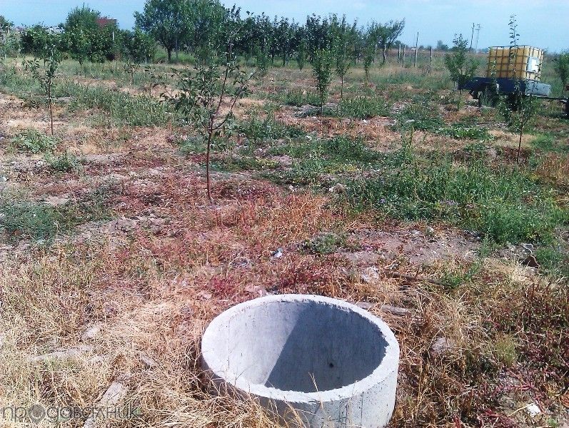 Бетонни пръстени Тръби - Куробли за кладенец или Декорация