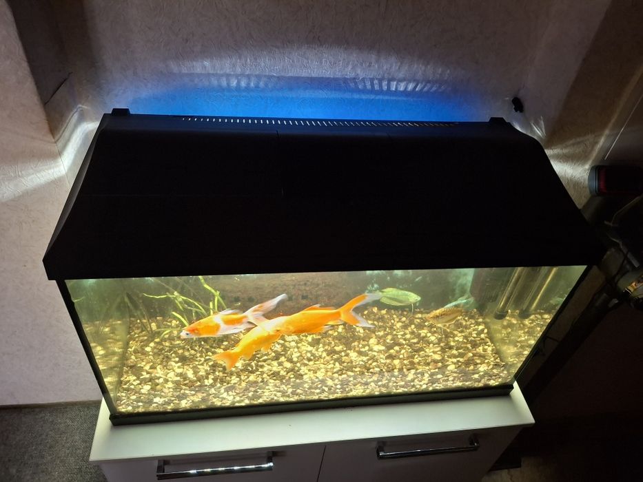 Аквариум 105 литров с рыбками