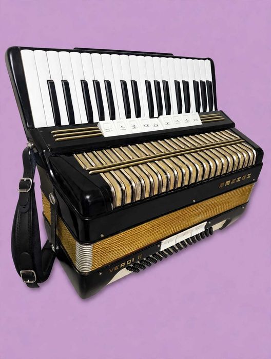 Acordeon Hohner Verdi 2,  96 basi negru