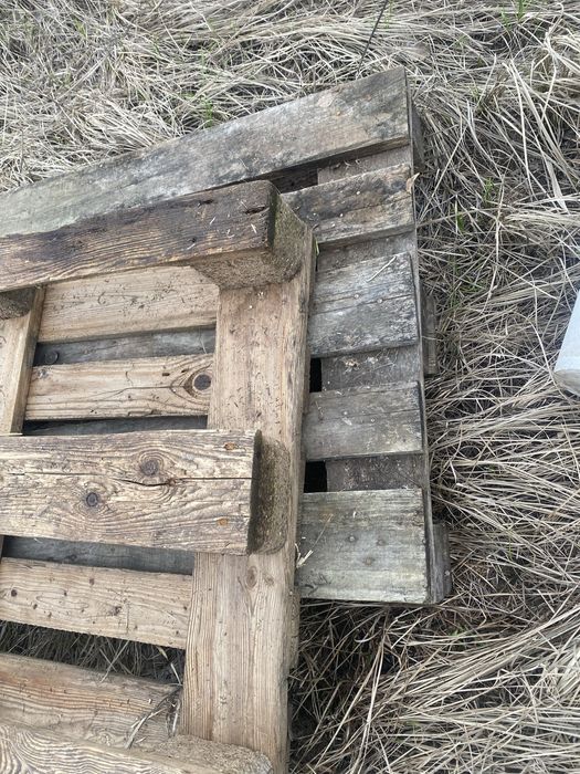 Падон палет.