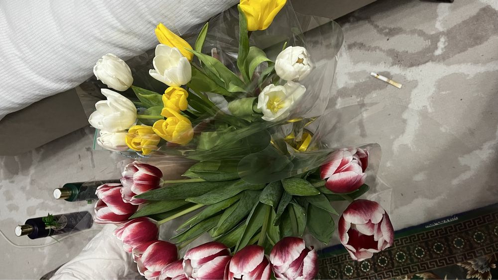 Тюльпаны свежий 22штук