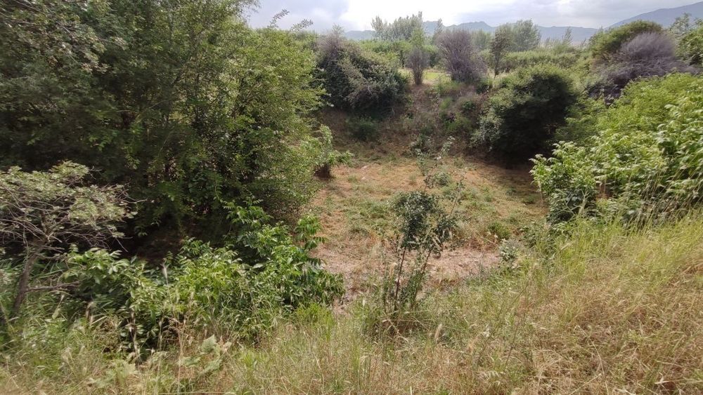 Yer sotiladi 45 sotix