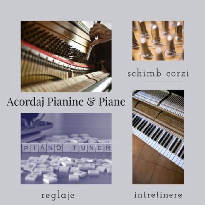 Acordaj piane si pianine