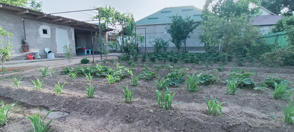 Жаңа үй сатылады