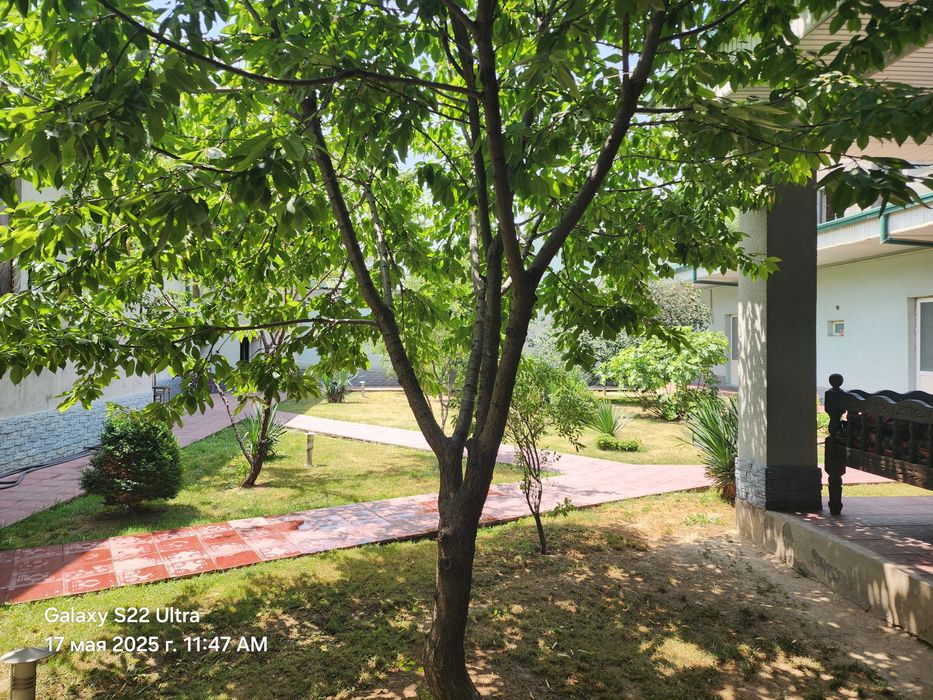 Амир Тимур Гулбог 6 соток