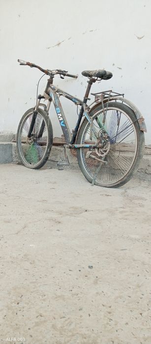 Velosioed. Forword, tuzatib haydadh uchun zoʻr tanlov.