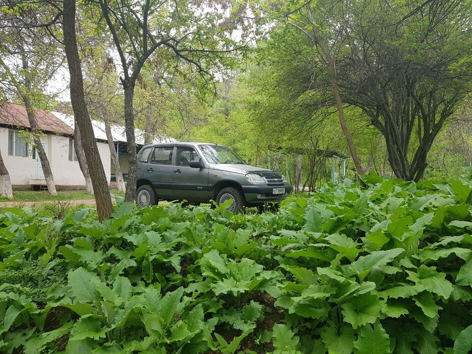 Шевроле нива ваз 21213