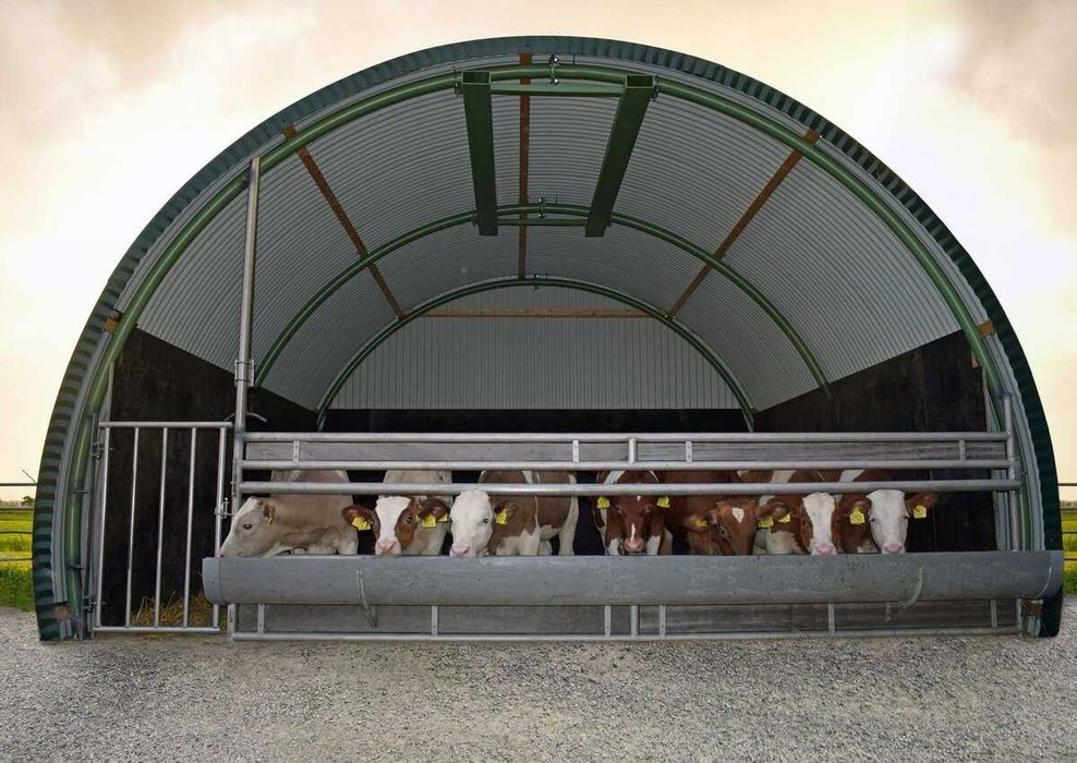 hale metalice,/grajd , hambar /  11m-/20m- etc ,/ firma Holland Expres