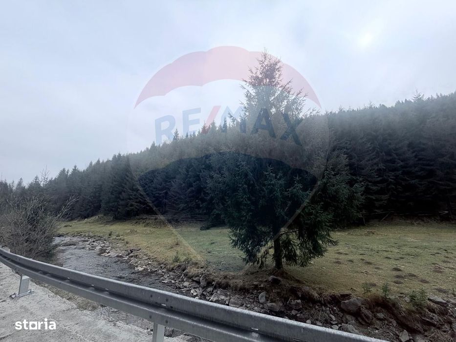 Arieșeni–Strada Fața Cristesei -Teren 4.331 mp cu Peisaj de Poveste