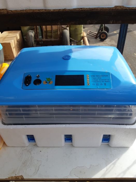 Инкубатор цифровой автомат