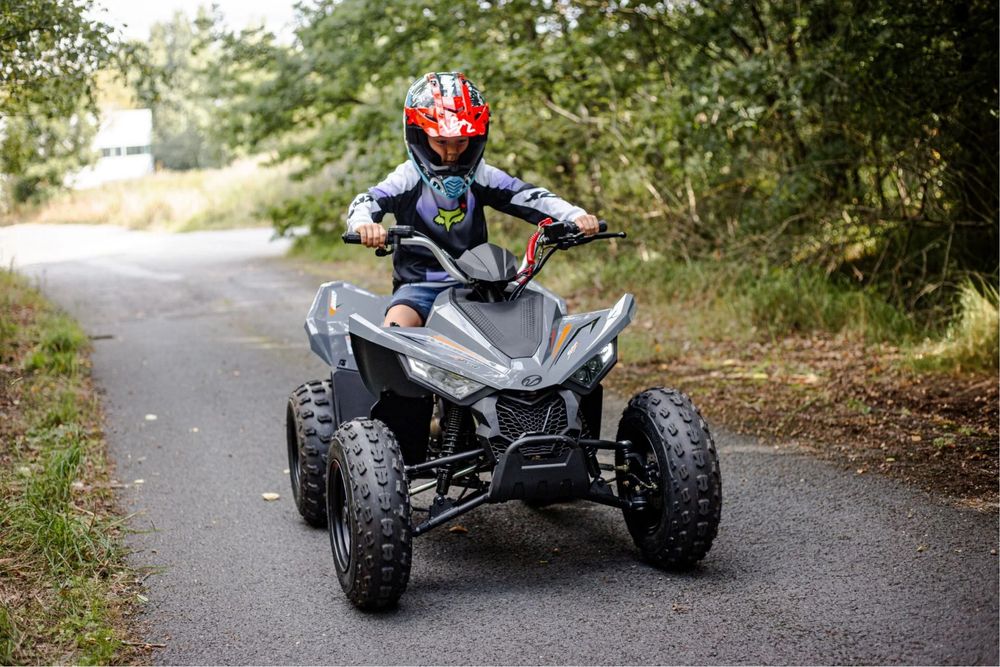 ATV Linhai 110 (nu segway,can am,polaris,cf moto)