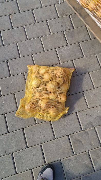 Ceapa import Sac 5kg