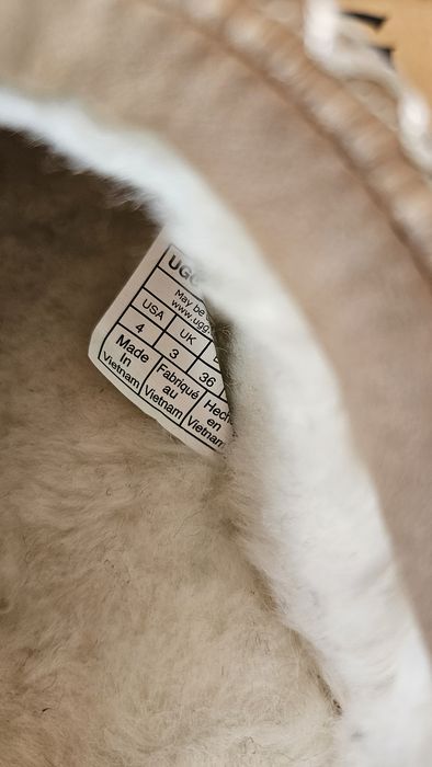 Ugg Tazz оригинални