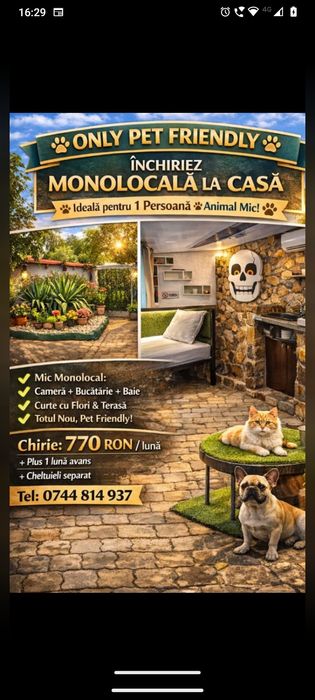 Inchiriez ap la casa pt 1 singura persoana plus o pisica sau un catel talie mica