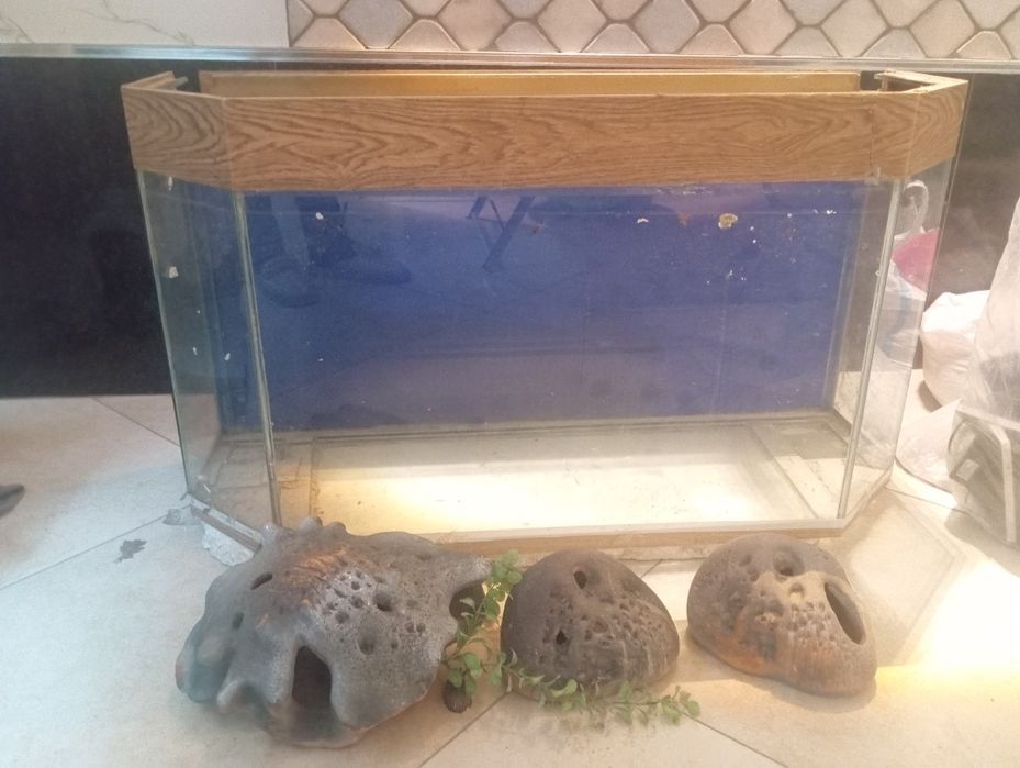 Akvarum srochna sotiladi