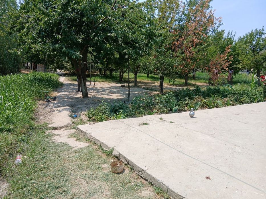 20 sotix Uy sotiladi  samarqand jomboy