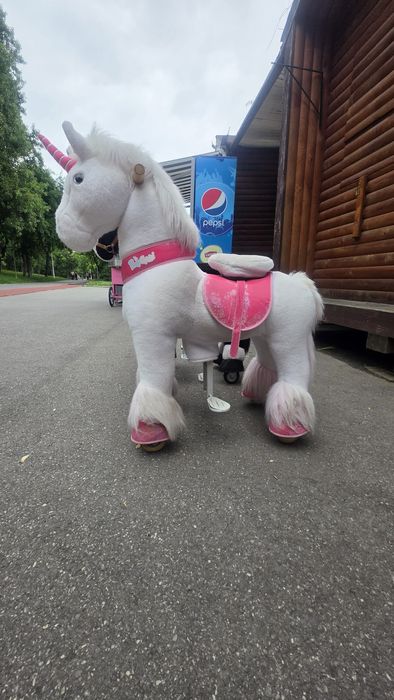 Vand căluț ponycycle