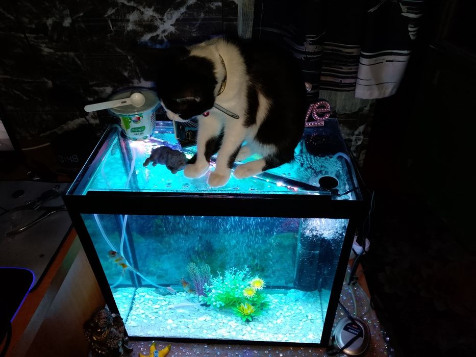 Продам аквариум на 30 литров