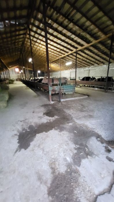 Продам дом с фазендой