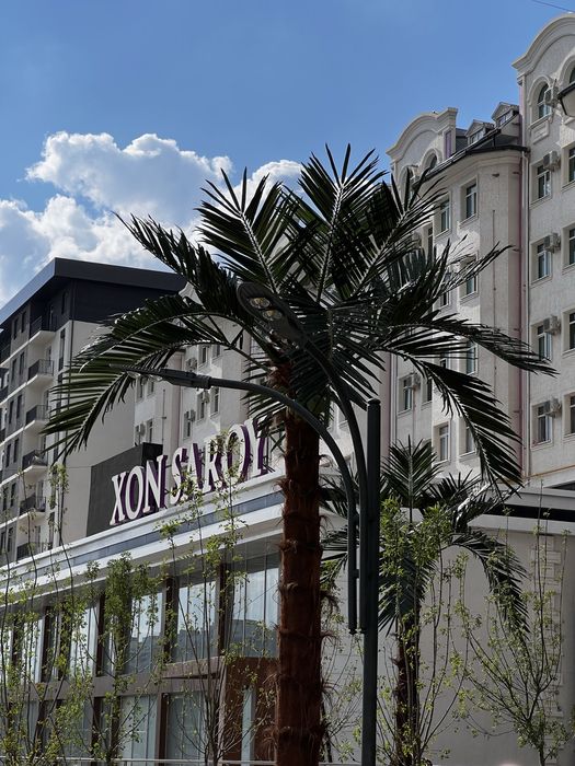 Декоративные пальмы palma — для дома, дача ,кафе