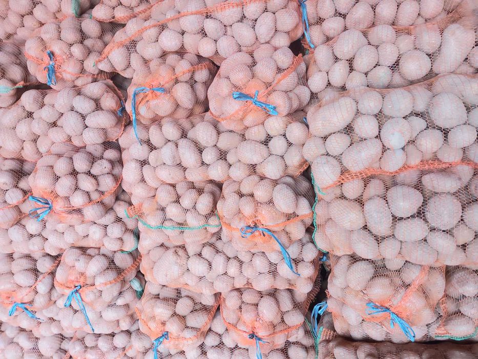 Cartofi consum carera