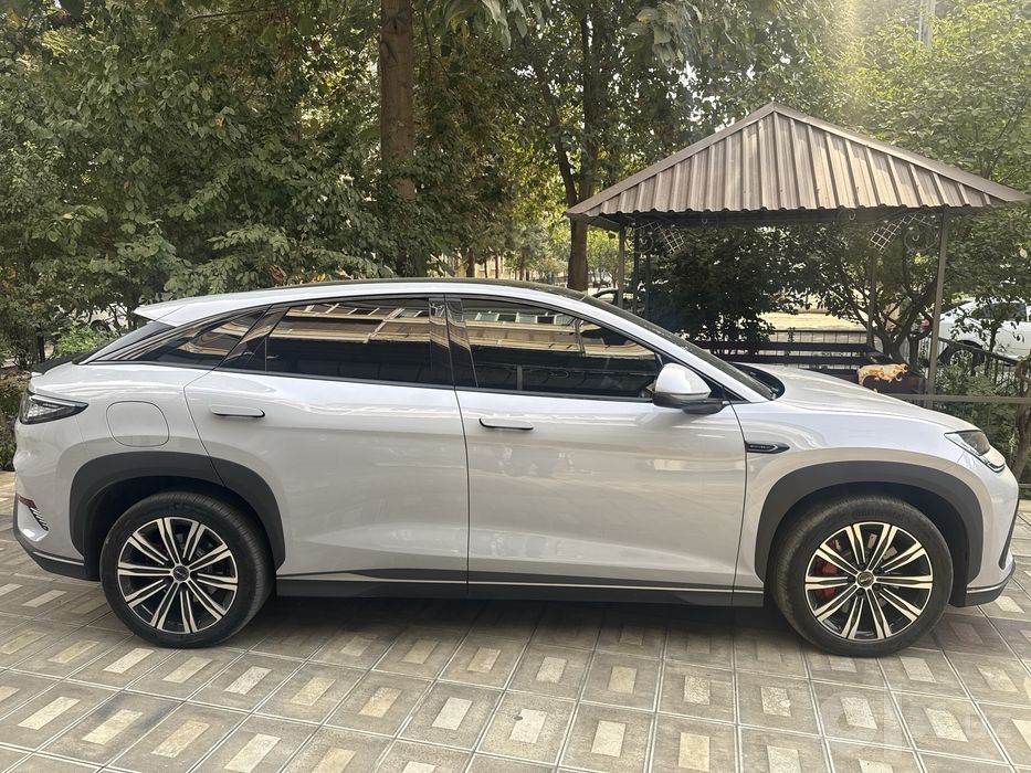 BYD силайн гаратия