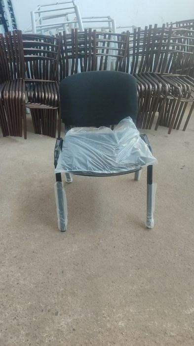 Silvia sutul xirom grasga bor