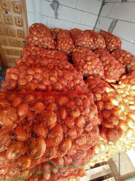 Ceapa de vanzare