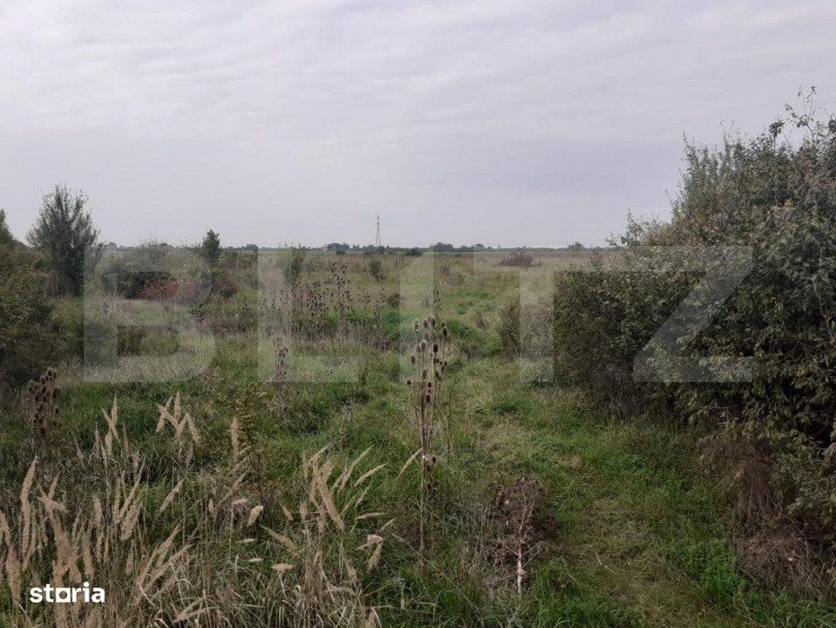 Teren de 39600 mp, PUZ, langa Staţia de Epurare