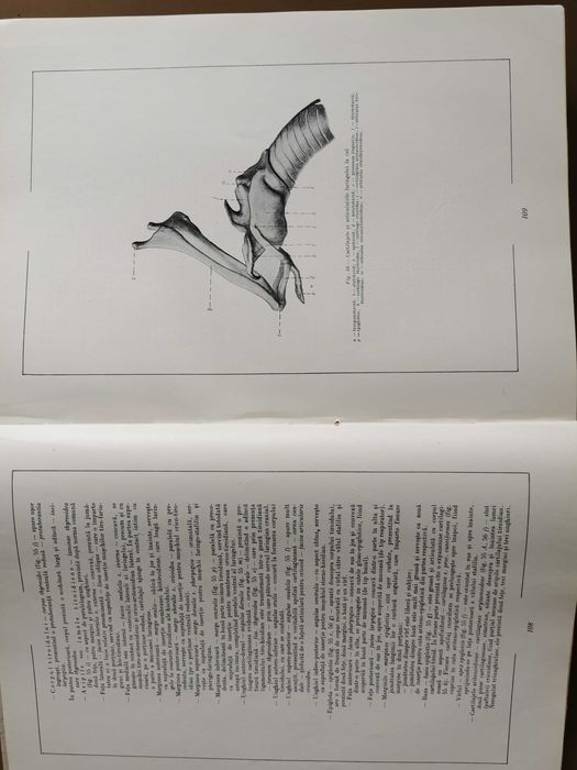 Atlas de Anatomie Comparativă