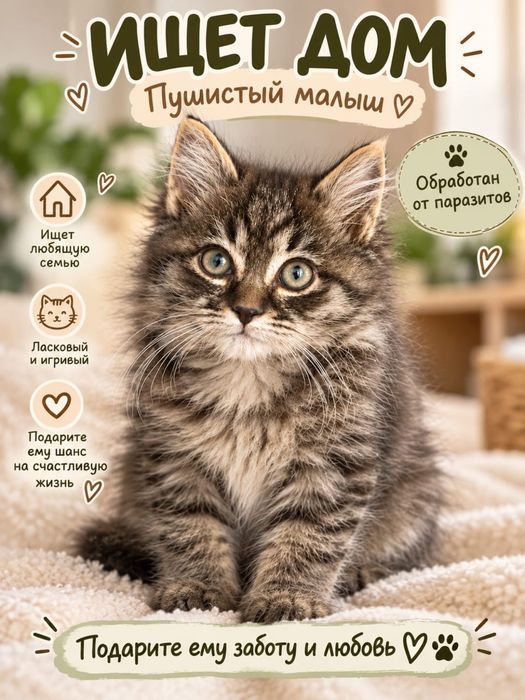 Срочно  ищут дом