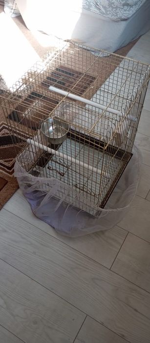 Клетка для попугая и прочее