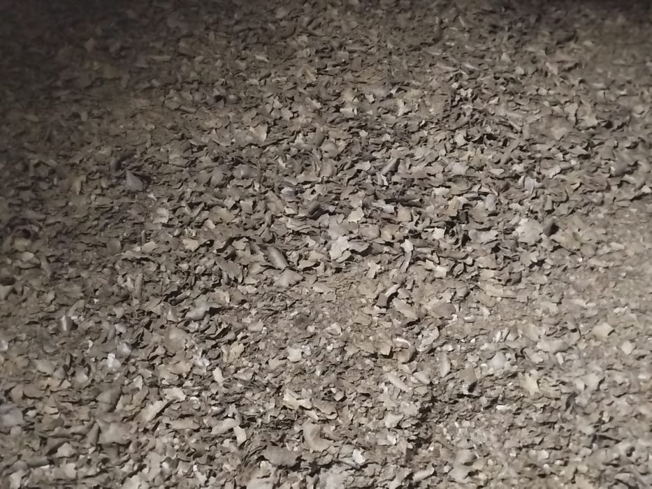 Жмых.Зерновой клуб!