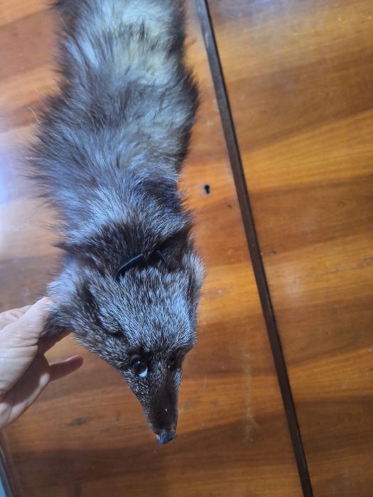 Старинни неща от  време оно