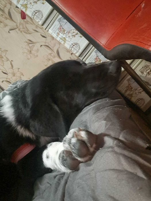 ДОМ за Миа София