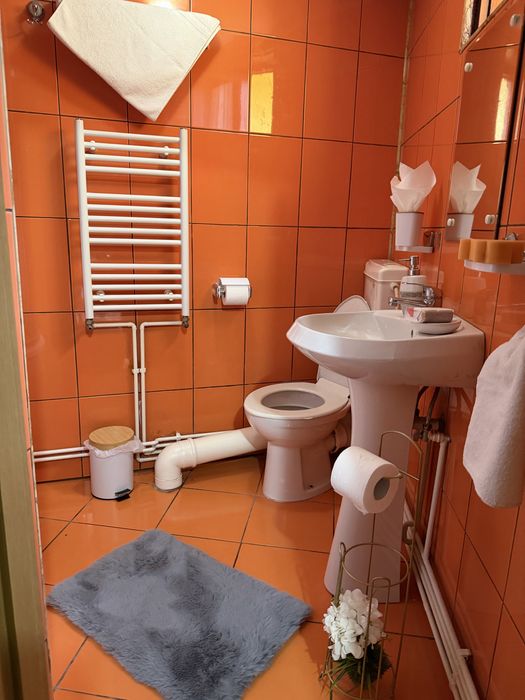 Cazare Busteni !!2 noptii +1 gratis!Exceptand  sarbatorile pascale!!!