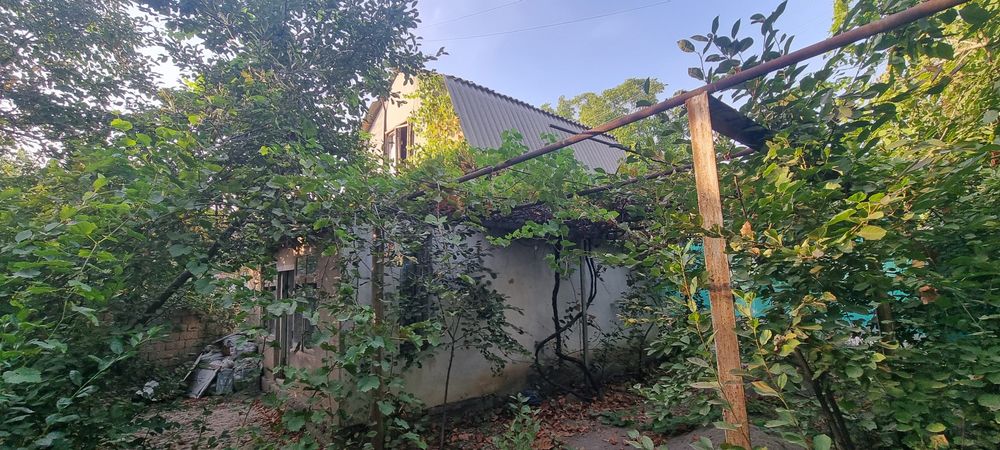 DACHA sotiladi oʻzimniki