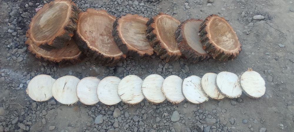 Продам свежий срез ореха