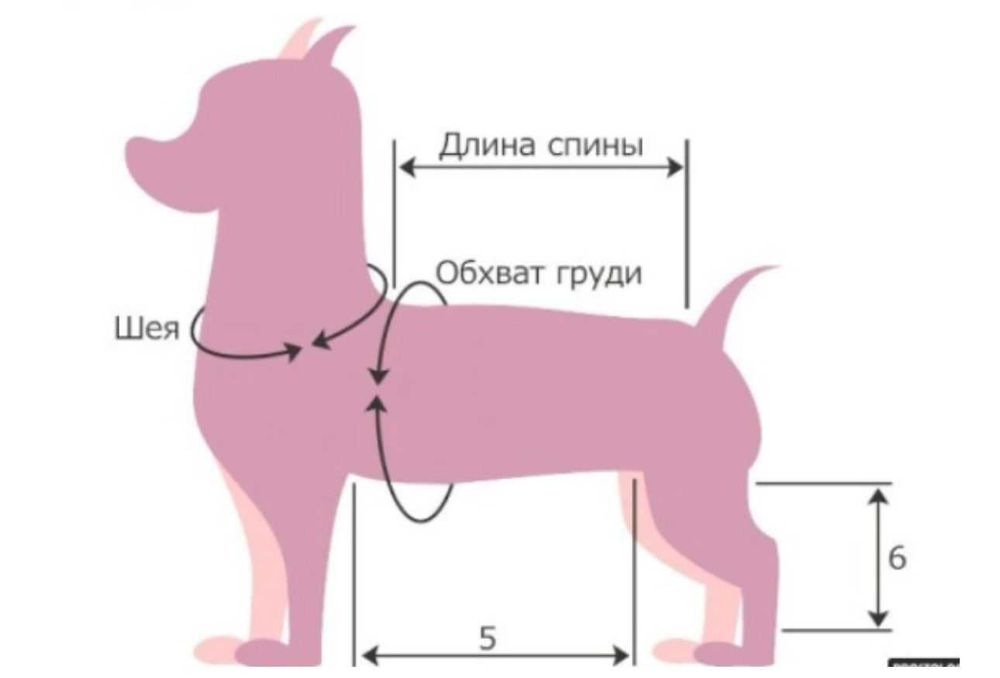 Дождевик для собаки, р-р 3XL новый