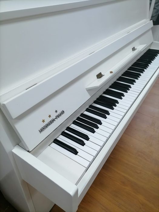 Piane & pianine, pe alb sau pe negru (transport gratuit, garanție)