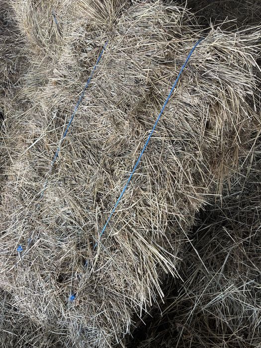 Vand fan - calitate top