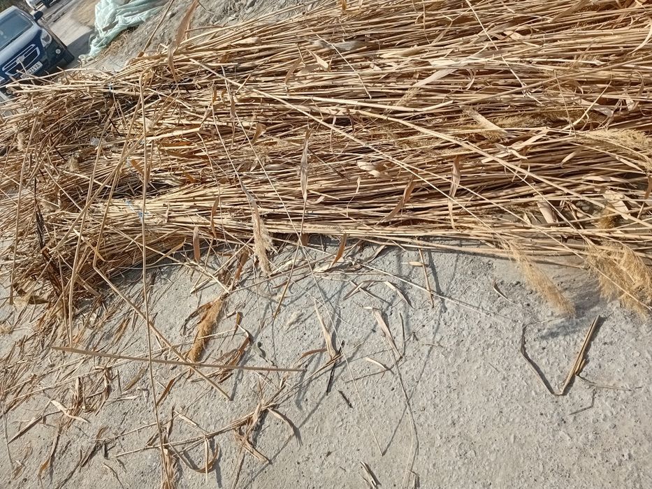 Qurulish molari tez sotiladi