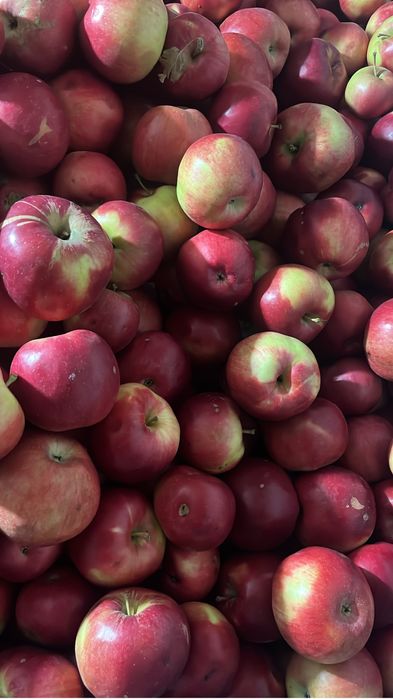 Mere diferite soiuri