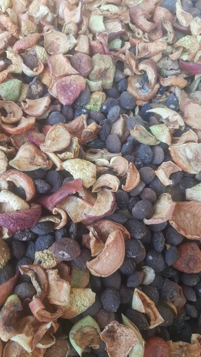 Грецкий орех жангак 2025