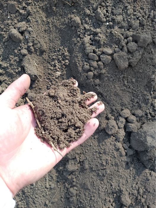 Доставка грунта чернозём песок отсев песок ГШС - Сырьё / материалы ...